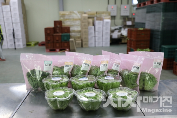 영농조합법인 ‘온채(onCHAE)’ 제품 (사진=유미라 기자)