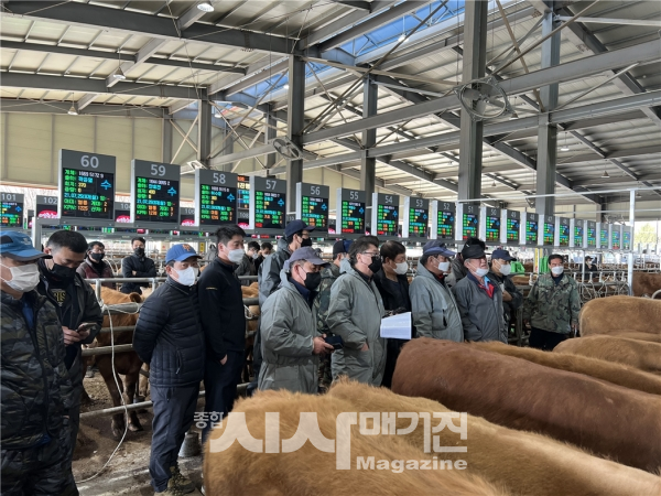 스마트경매시스템