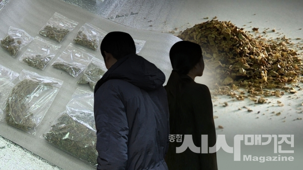 늘어나는 청년 마약사범