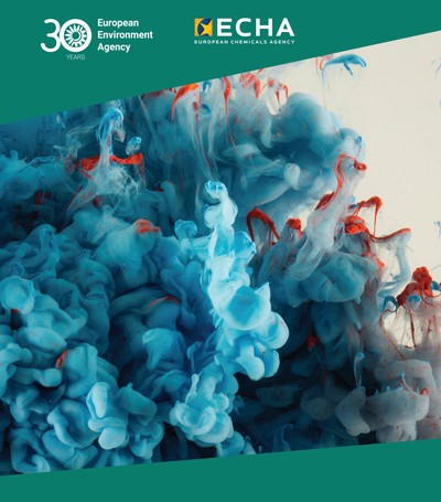 화학 물질에 대한 EU 지표 프레임워크 - 종합 보고서공동 보고서